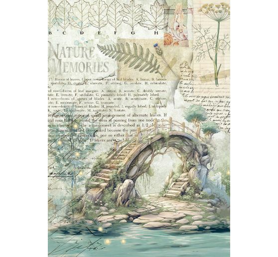 Assortiment de soies de paille à motifs « Herbarium Silvae », set de 8 pièces