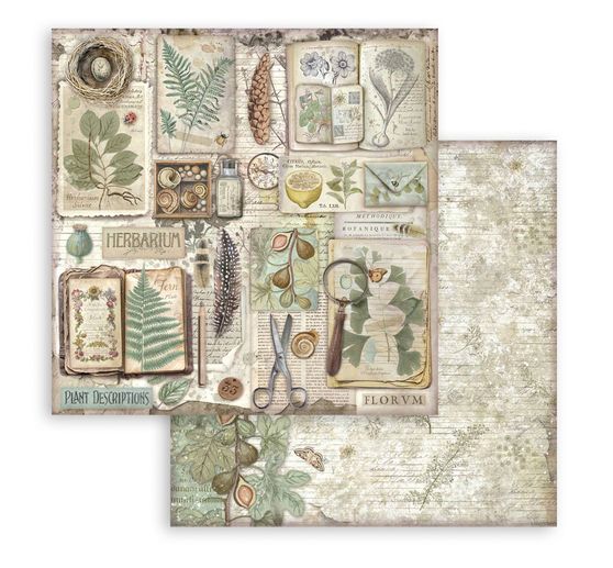Bloc de papier scrapbooking « Herbarium Silvae »