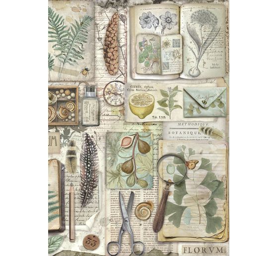 Junk Journal Book « Herbarium Silvae »