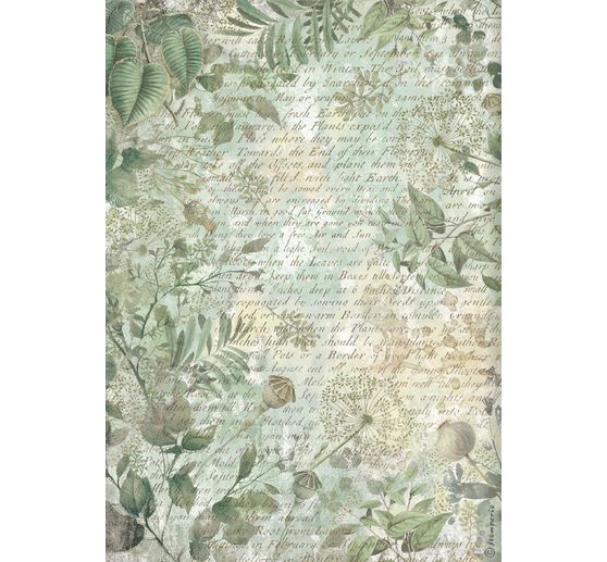 Washi Pad « Herbarium Silvae »