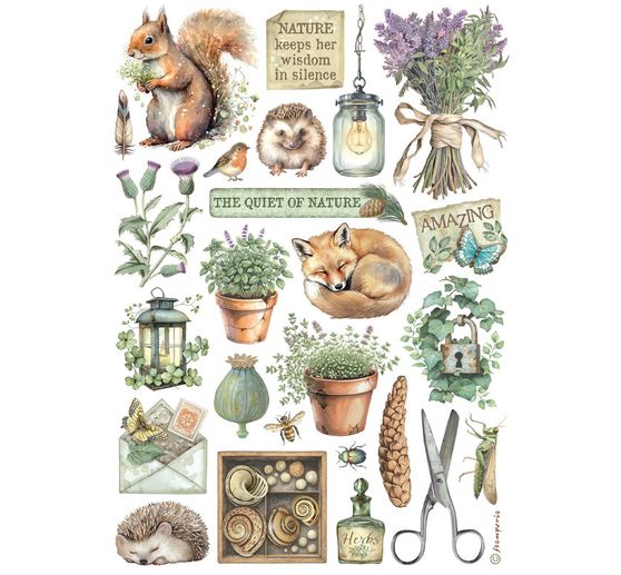 Washi Pad « Herbarium Silvae »