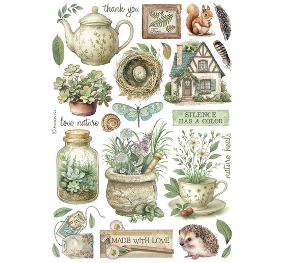 Washi Pad « Herbarium Silvae »