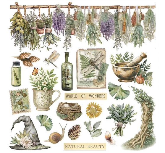 Assortiment de Rub On « Herbarium Silvae »