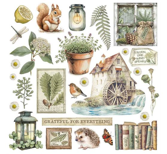 Assortiment de Rub On « Herbarium Silvae »