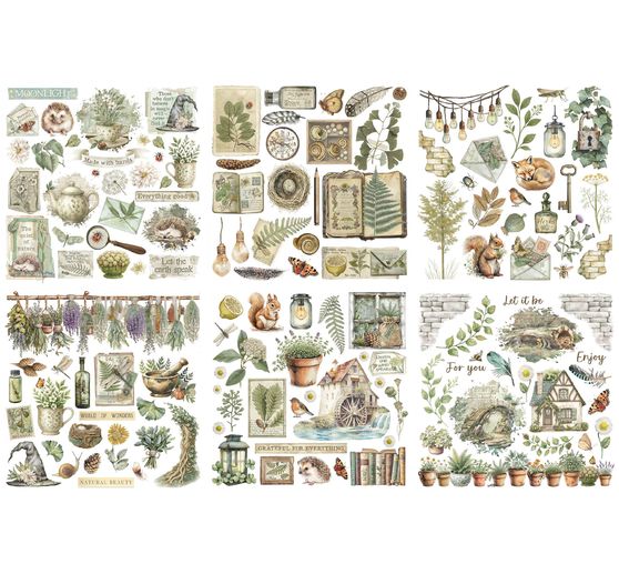 Assortiment de Rub On « Herbarium Silvae »