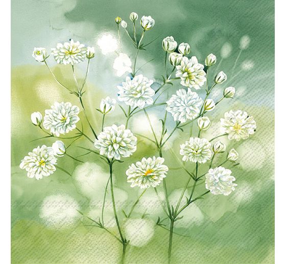 Serviette « Little Beauties »