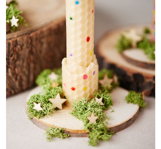 Rondelles d'&eacute;corce VBS &laquo; Rond &raquo;