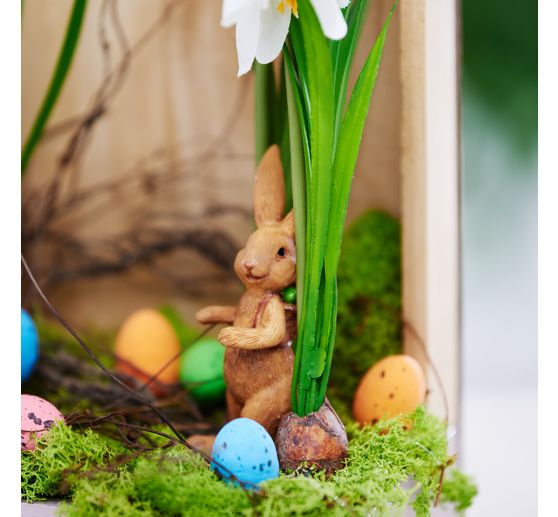 Spring flowers mix with bulb