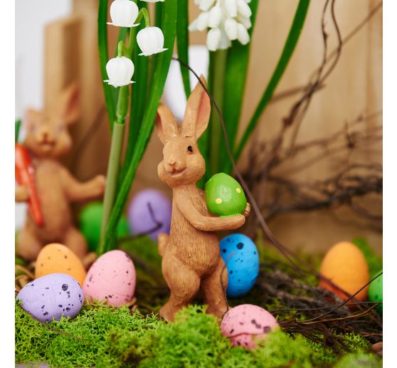 Spring flowers mix with bulb