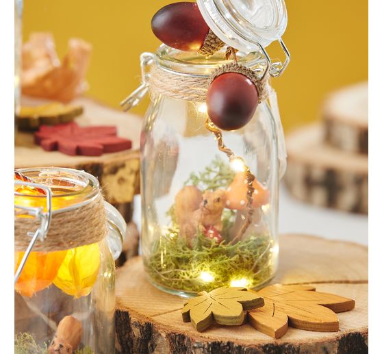 Branche de physalis, 6 fleurs