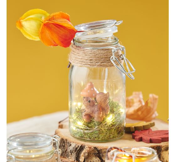 Branche de physalis, 6 fleurs