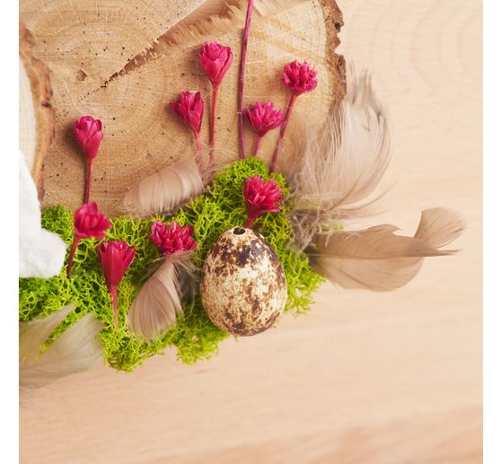 &OElig;ufs de caille, naturels