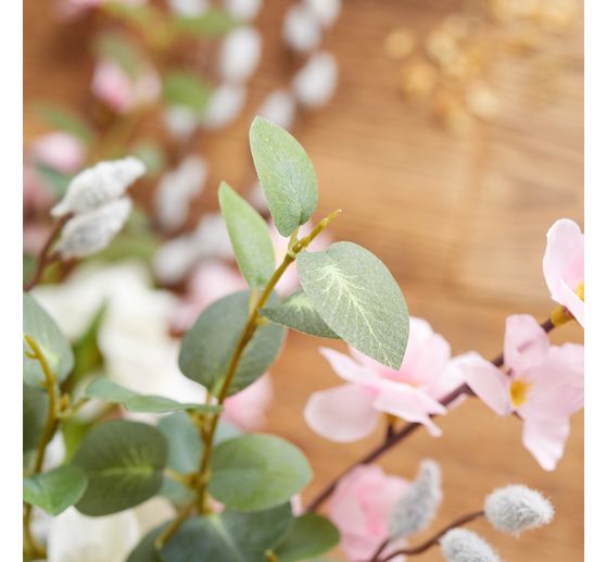 Branche d'eucalyptus