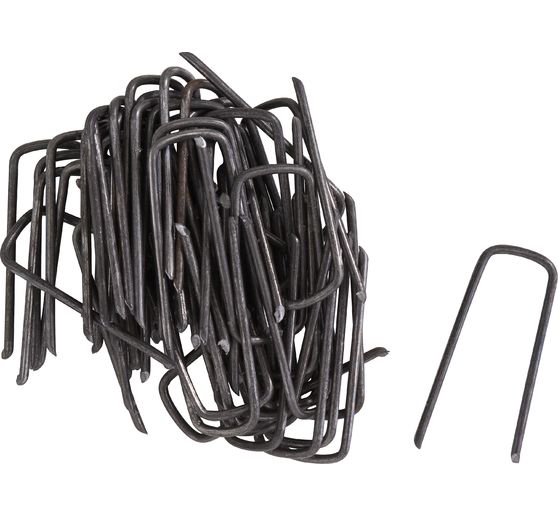 Cavaliers droits, 50 pc.