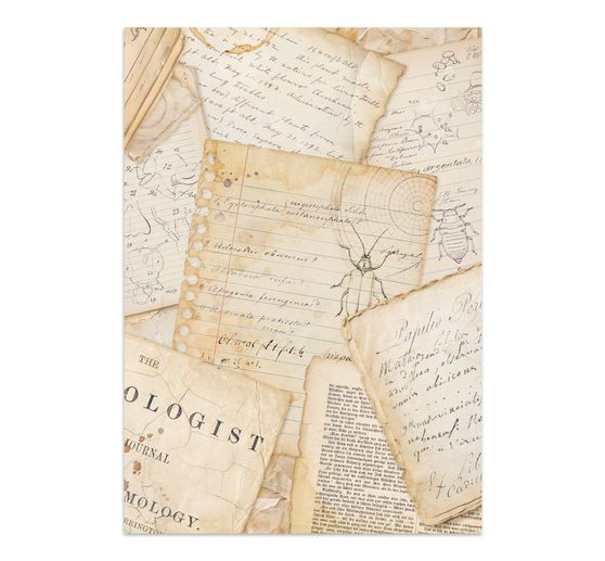 Junk Journal Book &laquo; All Around &raquo;