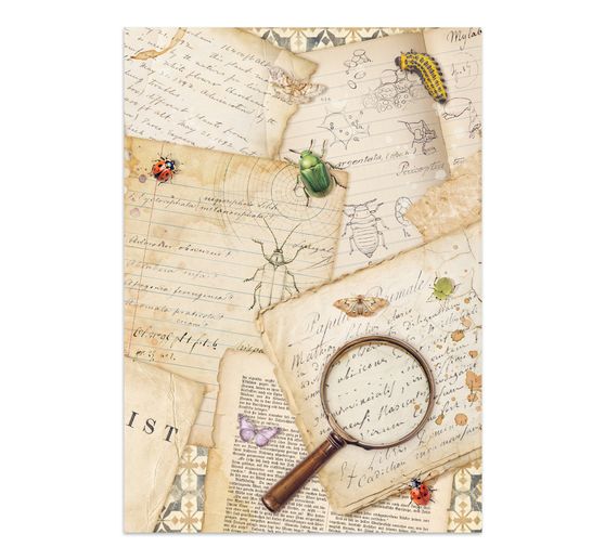 Junk Journal Book &laquo; All Around &raquo;
