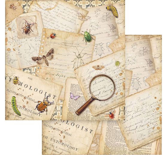 Bloc de papier scrapbooking &laquo; All Around &raquo;