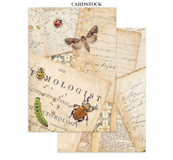 A5 Junk Journal Focus Points &laquo; All Around &raquo;