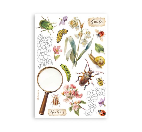 Washi Pad &laquo; All Around &raquo;