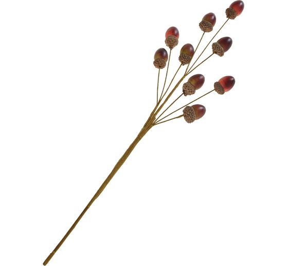 Branche de glands de ch&ecirc;ne