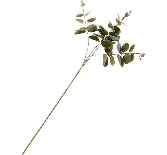 Eucalyptus branch "Ava"