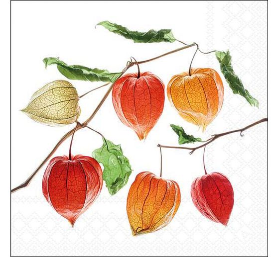 Napkin "Chinese lantern plant"