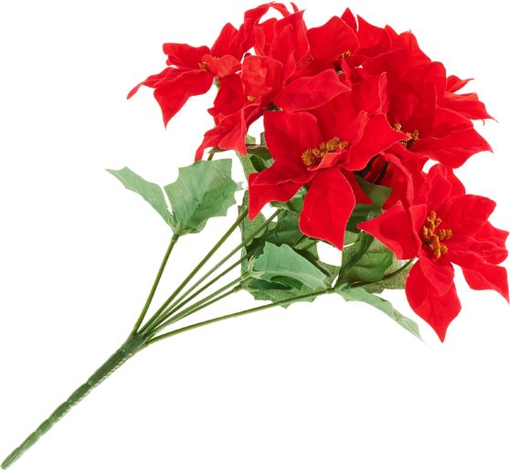 Pique de poinsettia &agrave; 9 fleurs