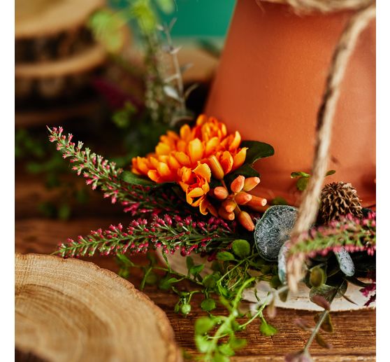 Tige de succulentes