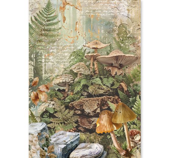Ciao Bella motif straw silk assortment "The Nature Journal", set of 8