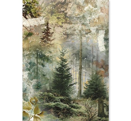 Ciao Bella motif straw silk assortment "The Nature Journal", set of 8
