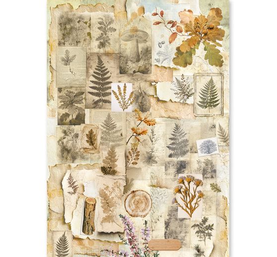 Ciao Bella motif straw silk assortment "The Nature Journal", set of 8