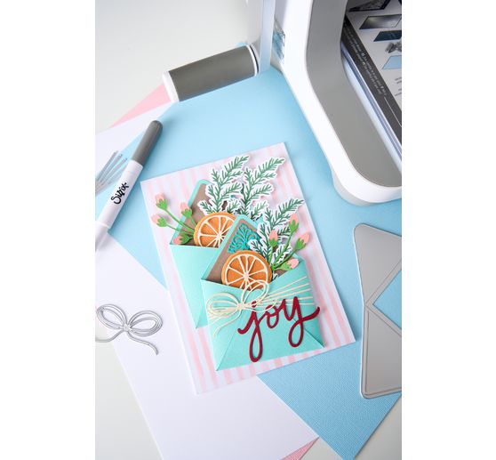 Gabarit d'estampe et Clear Stamps Sizzix Framelits &laquo; Winter Florals by Vicki Boutin &raquo;