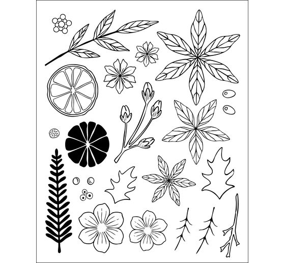 Gabarit d'estampe et Clear Stamps Sizzix Framelits &laquo; Winter Florals by Vicki Boutin &raquo;