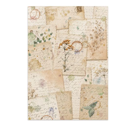 Stamperia A5 Junk Journal Focus Points "Flowers and Poems"