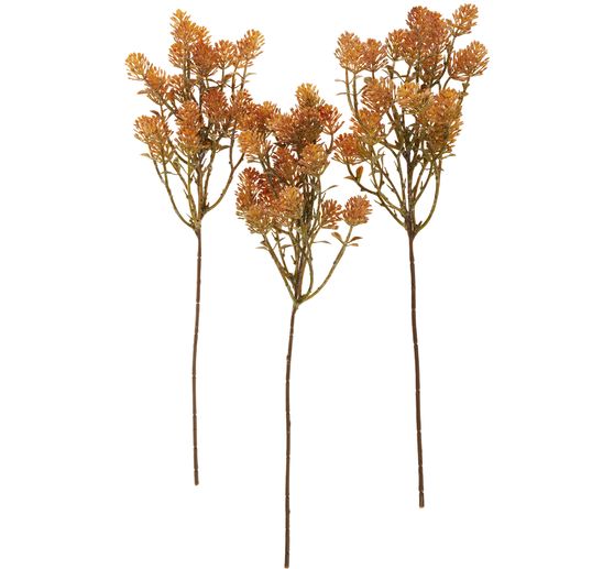 Bouquet de succulentes