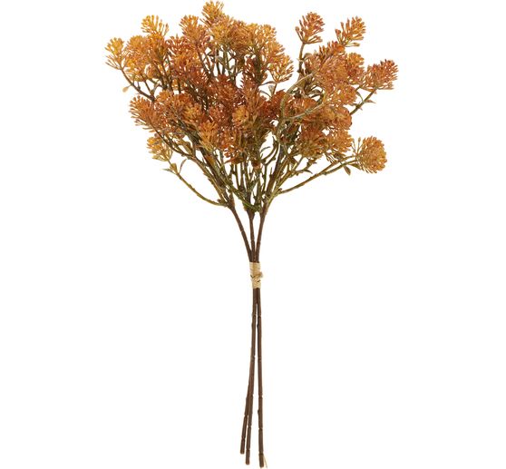 Bouquet de succulentes