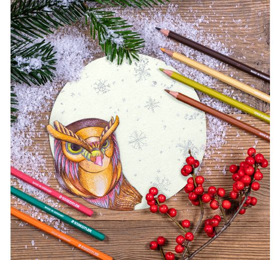 Crayons de couleur effa&ccedil;ables STAEDTLER &laquo; Noris erasable &raquo;