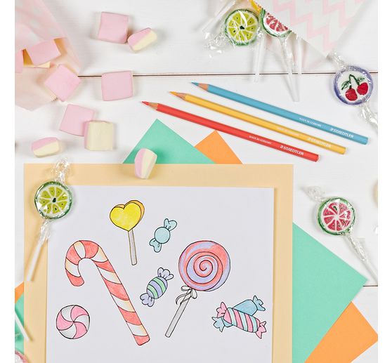 Crayons de couleur STAEDTLER &laquo; Pastel &raquo;, 12 couleurs