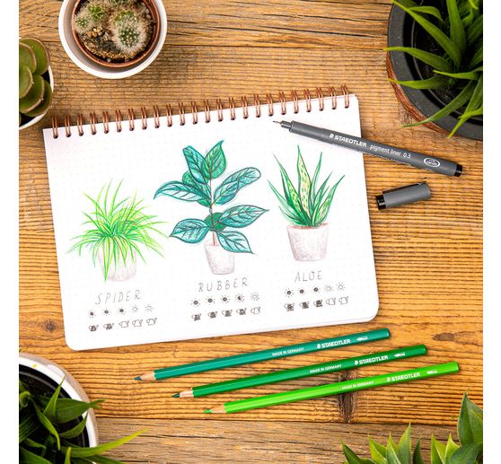 Crayons aquarellables STAEDTLER &laquo; Design Journey &raquo; dans un &eacute;tui en m&eacute;tal