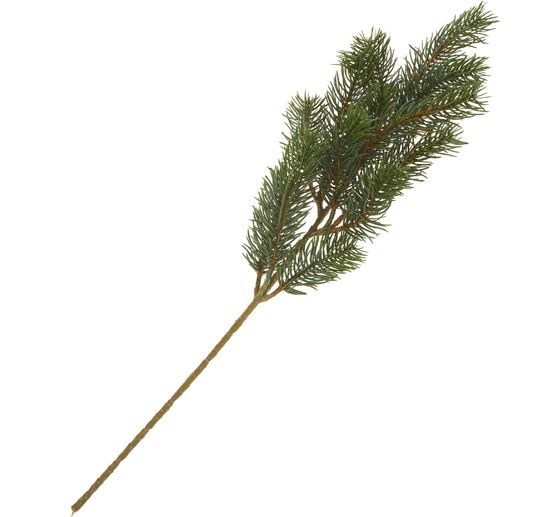 Fir branch "Nila"