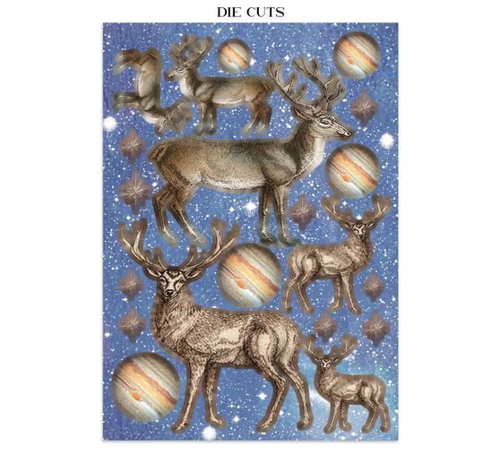 A5 Junk Journal Focus Points Stamperia &laquo; Cosmos &raquo;