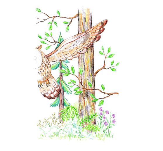 Crayons de couleur STAEDTLER &laquo; Super soft &raquo;