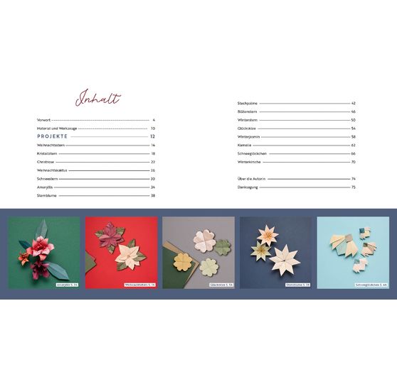 Livre &laquo; Origami - Winter Flowers &raquo;