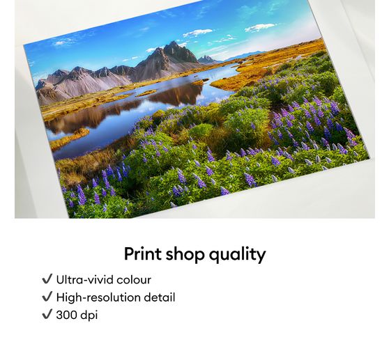 Cricut StickerPix Print Set "Sticker sheets", 55 pcs.