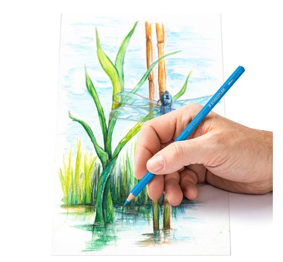 Crayons de couleur STAEDTLER dans une bo&icirc;te en m&eacute;tal