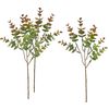 Eucalyptus VBS « Bendigo » Brun/Vert