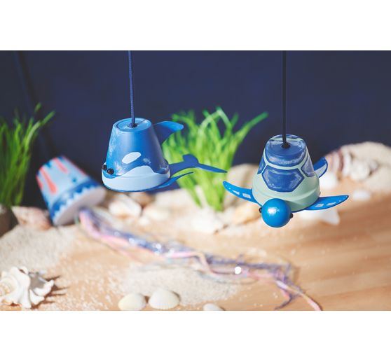 Pots en terre cuite