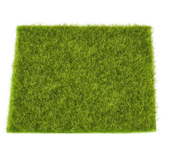 Plaque d'herbe