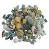 Exotic Potpourri Green