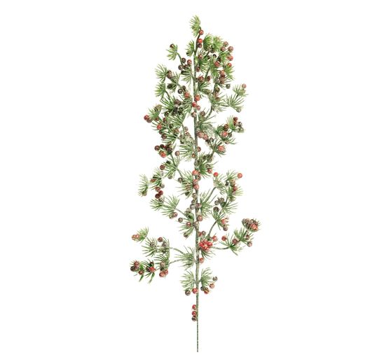 Branche de pin japonais et baies rouges, enneigée